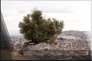 Cityfoto 14 - Marokko, Fes